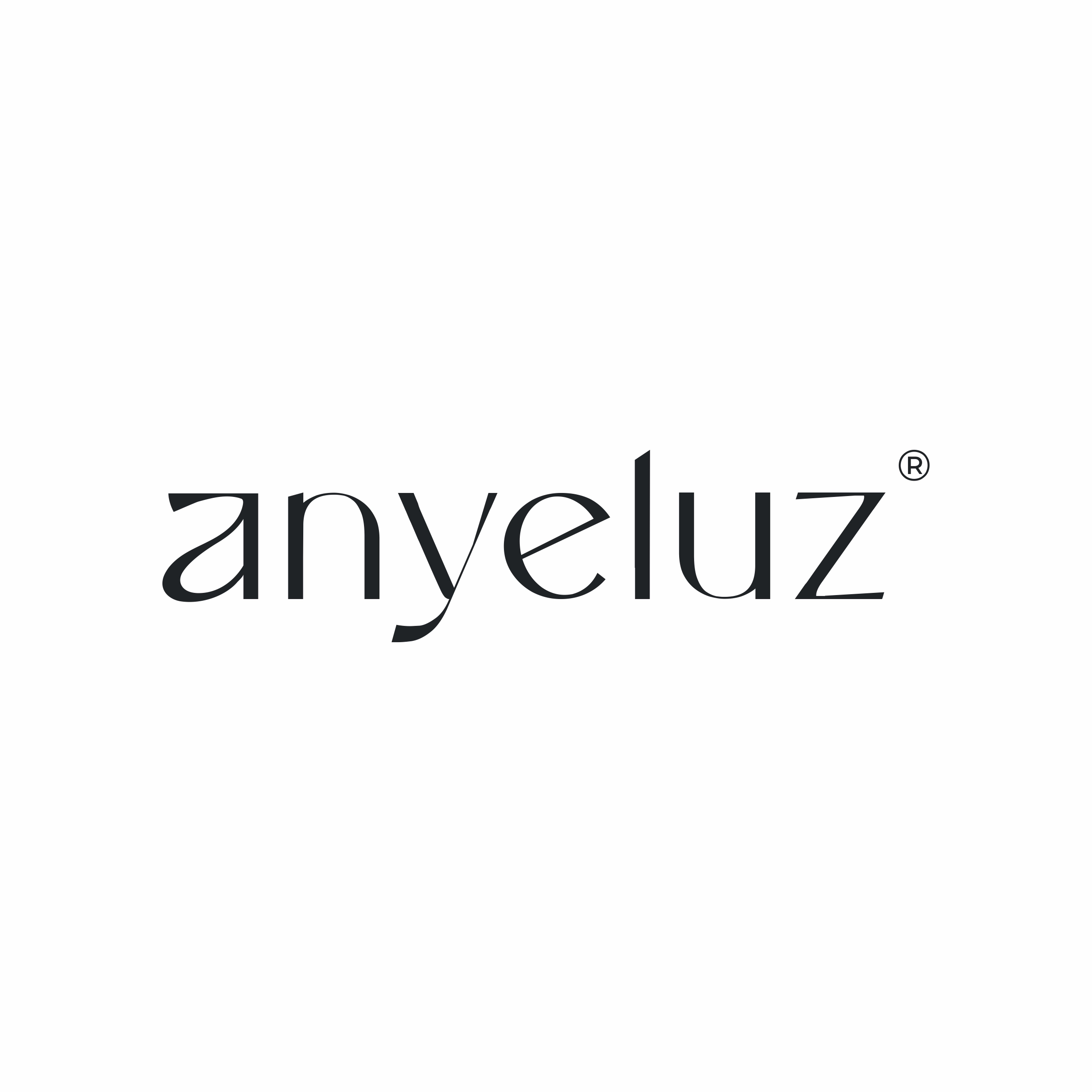 Logo Anyeluz